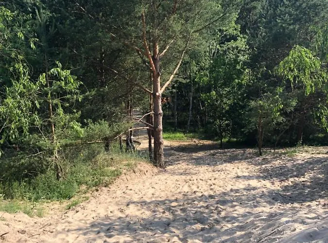 Lividus 210 Apartpark 公寓 斯维诺乌伊希切